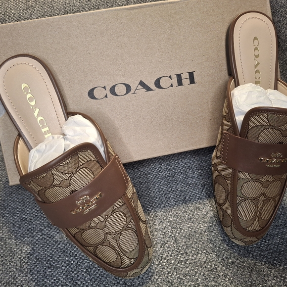 Coach Khaki and Dark Saddle Flats - Picture 4 of 5